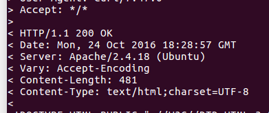 Screenshot of the output of curl -v